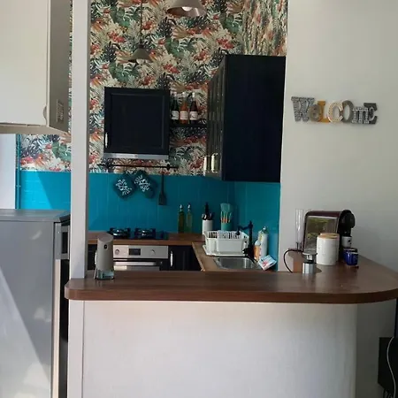Le Cocon Croix-roussien Apartment *